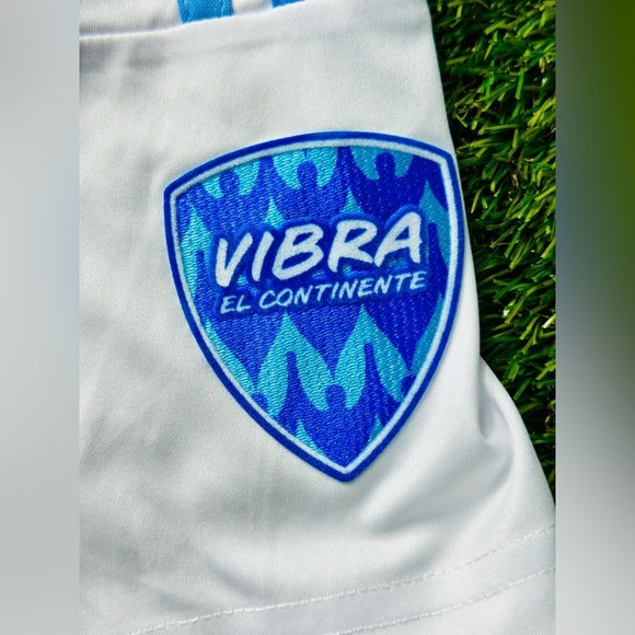 Adidas 2024 Copa America FINALS Argentina Lionel Messi #10 Home Jersey All Patch - Picture 5 of 9